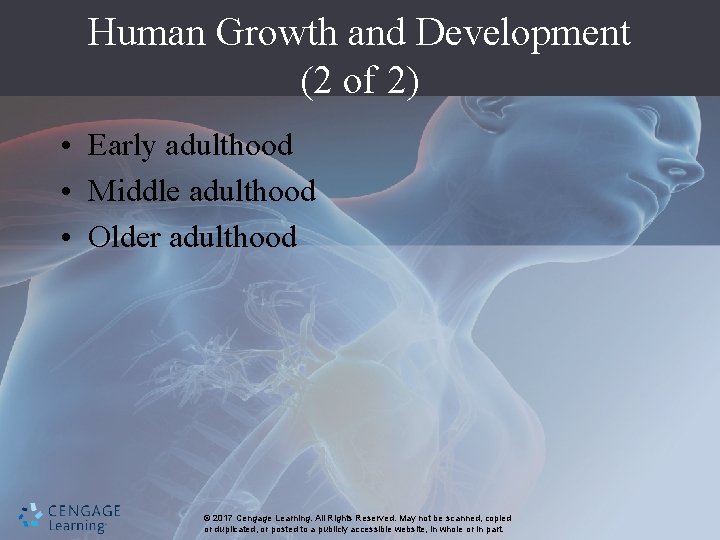 Human Growth and Development (2 of 2) • Early adulthood • Middle adulthood •