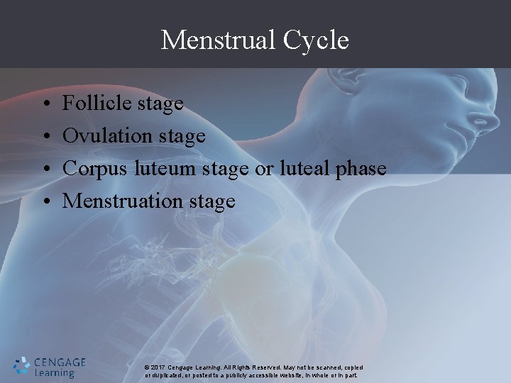 Menstrual Cycle • • Follicle stage Ovulation stage Corpus luteum stage or luteal phase