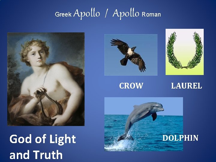 Greek Apollo / Apollo Roman CROW God of Light and Truth LAUREL DOLPHIN 