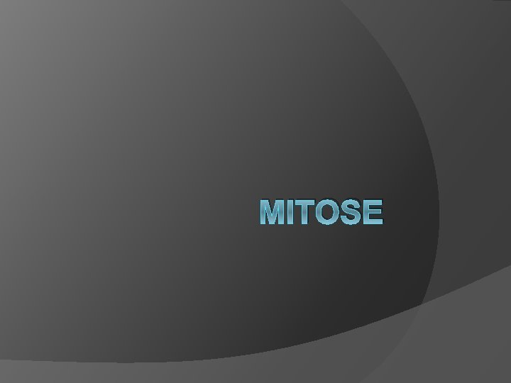 MITOSE 