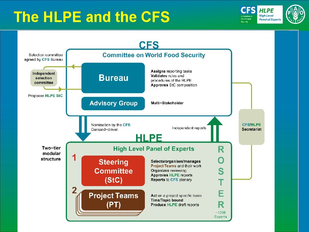The HLPE and the CFS 