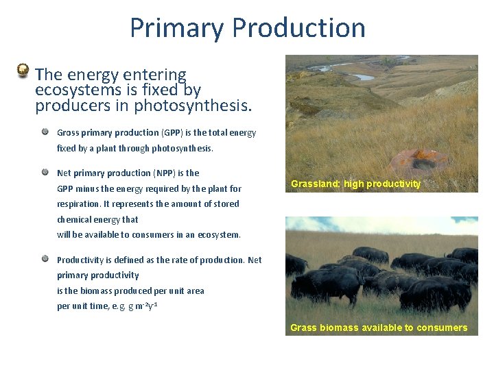 Primary Production The energy entering ecosystems is fixed by producers in photosynthesis. Gross primary