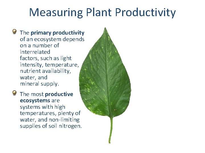 Measuring Plant Productivity The primary productivity of an ecosystem depends on a number of