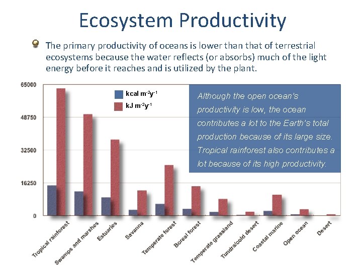 Ecosystem Productivity The primary productivity of oceans is lower than that of terrestrial ecosystems