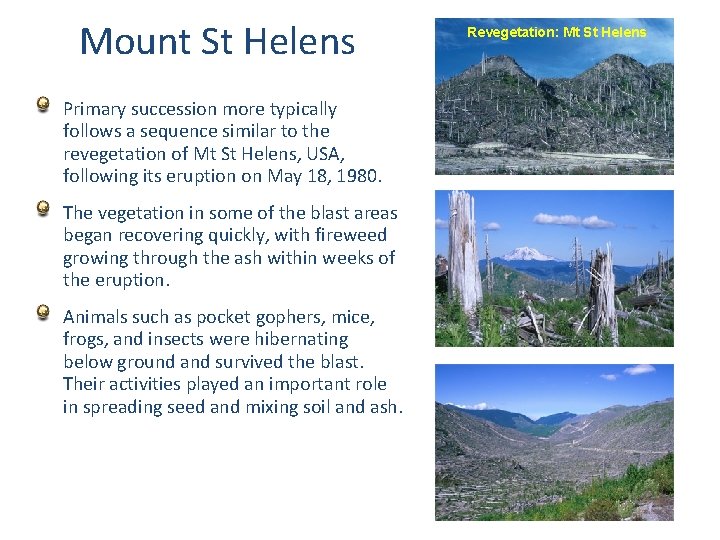 Mount St Helens Primary succession more typically follows a sequence similar to the revegetation