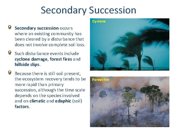 Secondary Succession Cyclone Secondary succession occurs where an existing community has been cleared by
