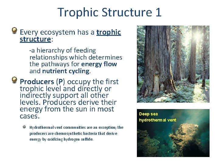 Trophic Structure 1 Every ecosystem has a trophic structure: -a hierarchy of feeding relationships