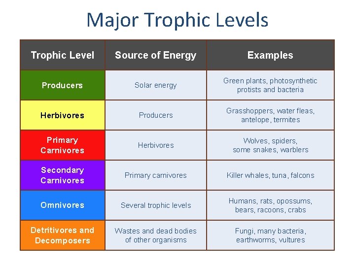 Major Trophic Levels Trophic Level Source of Energy Examples Producers Solar energy Green plants,
