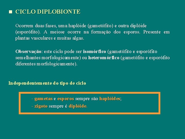 n CICLO DIPLOBIONTE Ocorrem duas fases, uma haplóide (gametófito) e outra diplóide (esporófito). A n CICLO DIPLOBIONTE Ocorrem duas fases, uma haplóide (gametófito) e outra diplóide (esporófito). A
