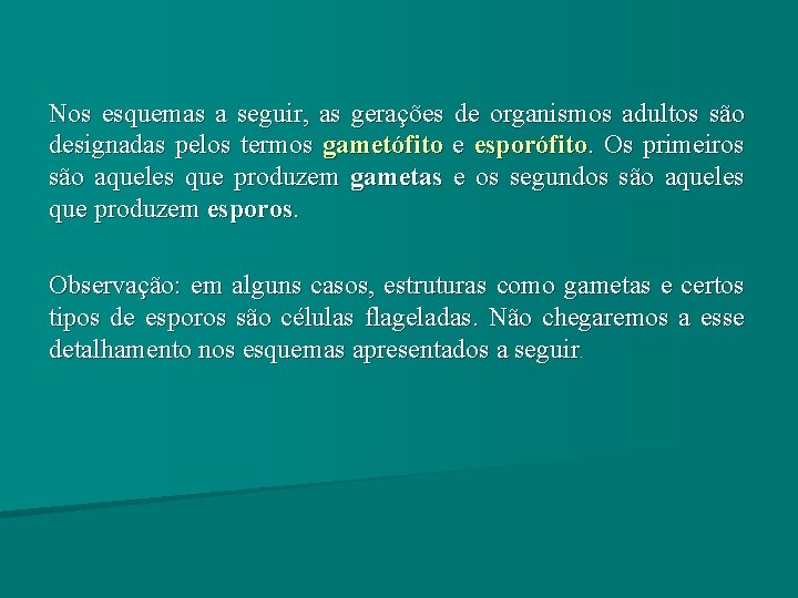 Nos esquemas a seguir, as gerações de organismos adultos são designadas pelos termos gametófito Nos esquemas a seguir, as gerações de organismos adultos são designadas pelos termos gametófito