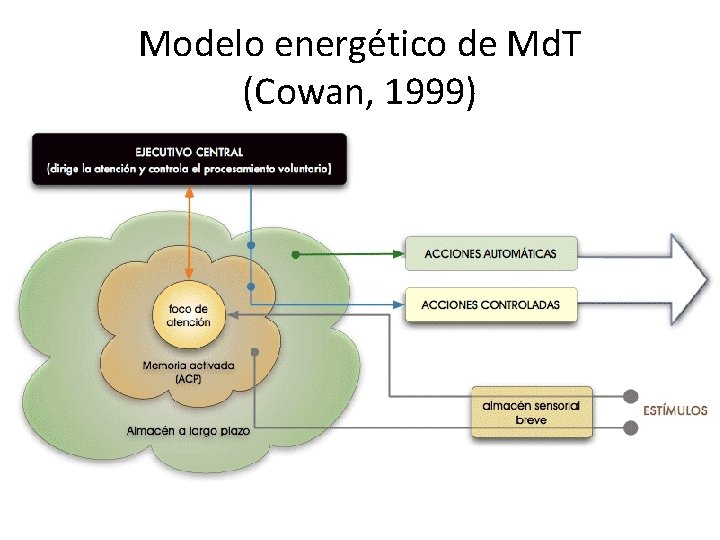Modelo energético de Md. T (Cowan, 1999) 