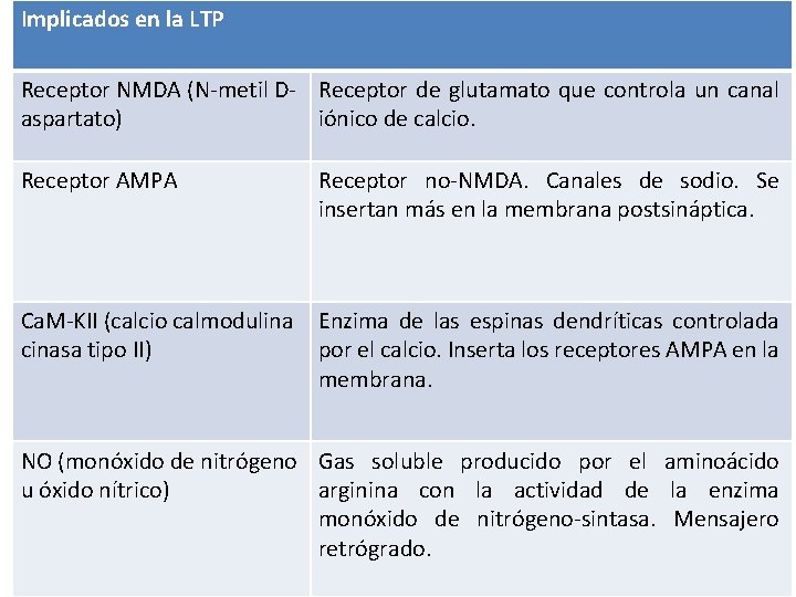 Implicados en la LTP Receptor NMDA (N-metil D- Receptor de glutamato que controla un