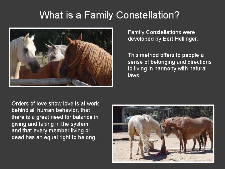 What is a Family Constellation? Family Constellations were developed by Bert Hellinger. This method