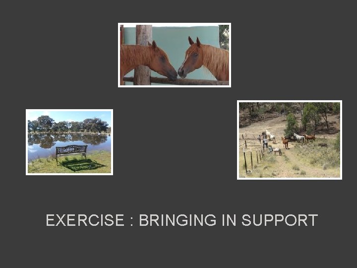 EXERCISE : BRINGING IN SUPPORT 