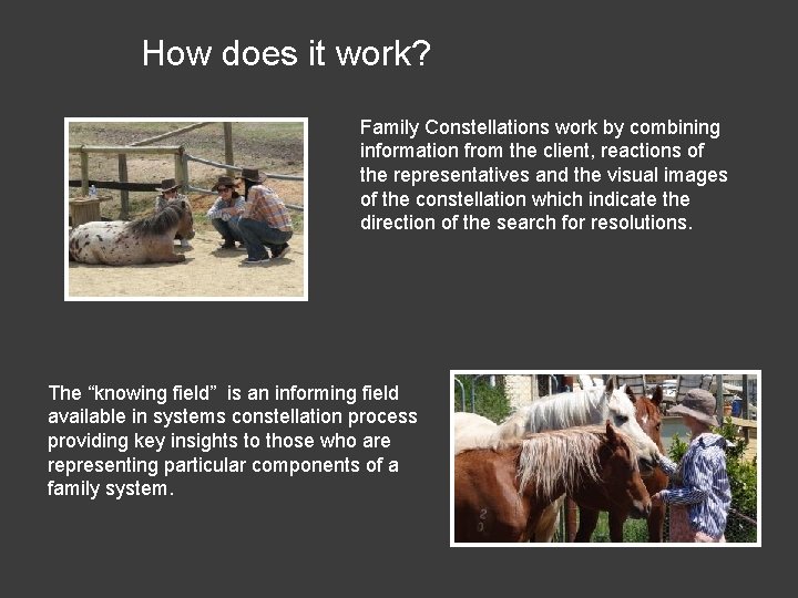 How does it work? Family Constellations work by combining information from the client, reactions