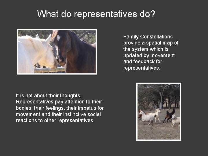 What do representatives do? Family Constellations provide a spatial map of the system which