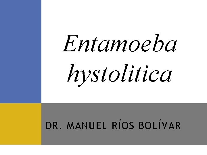 Entamoeba hystolitica DR. MANUEL RÍOS BOLÍVAR 