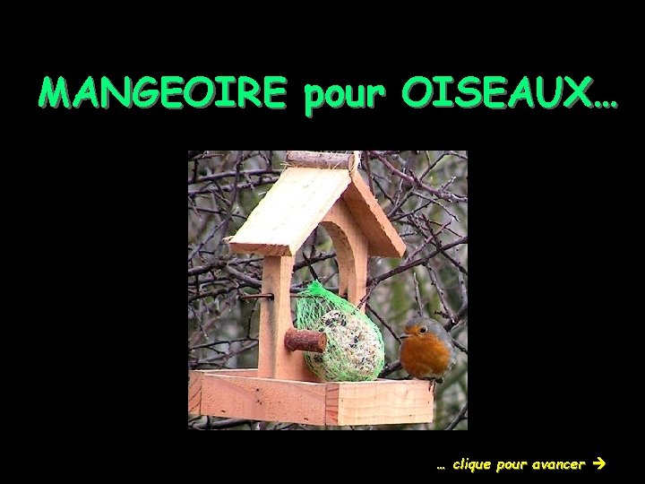 MANGEOIRE pour OISEAUX… … clique pour avancer 