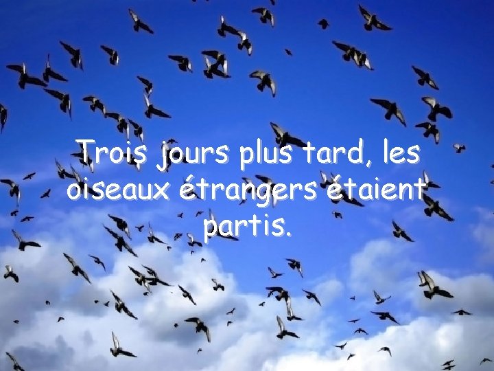 Trois jours plus tard, les oiseaux étrangers étaient partis. 