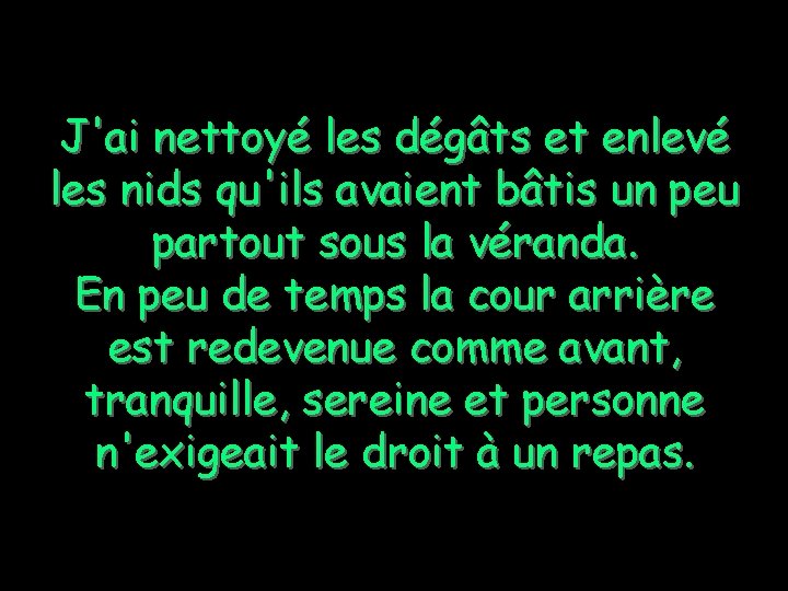 J'ai nettoyé les dégâts et enlevé les nids qu'ils avaient bâtis un peu partout