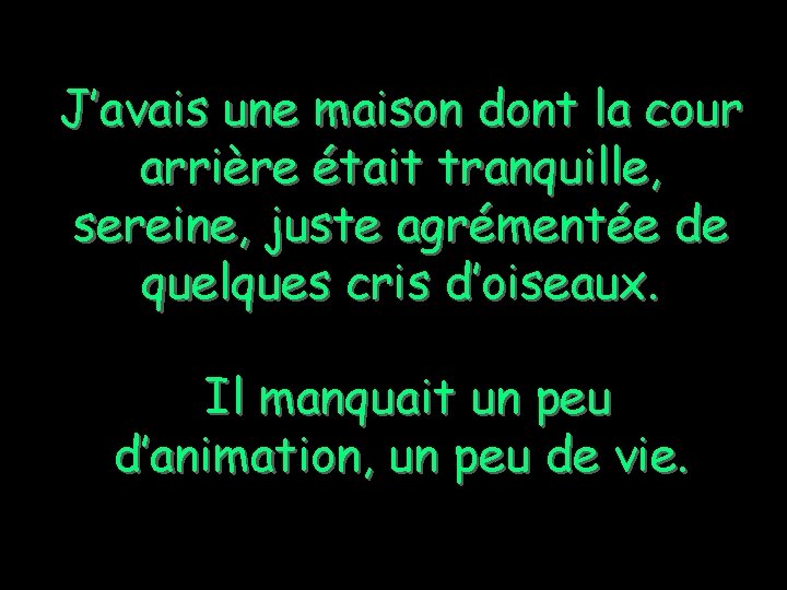 J’avais une maison dont la cour arrière était tranquille, sereine, juste agrémentée de quelques