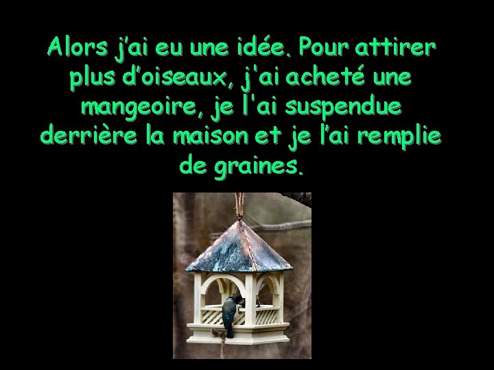 Alors j’ai eu une idée. Pour attirer plus d’oiseaux, j'ai acheté une mangeoire, je