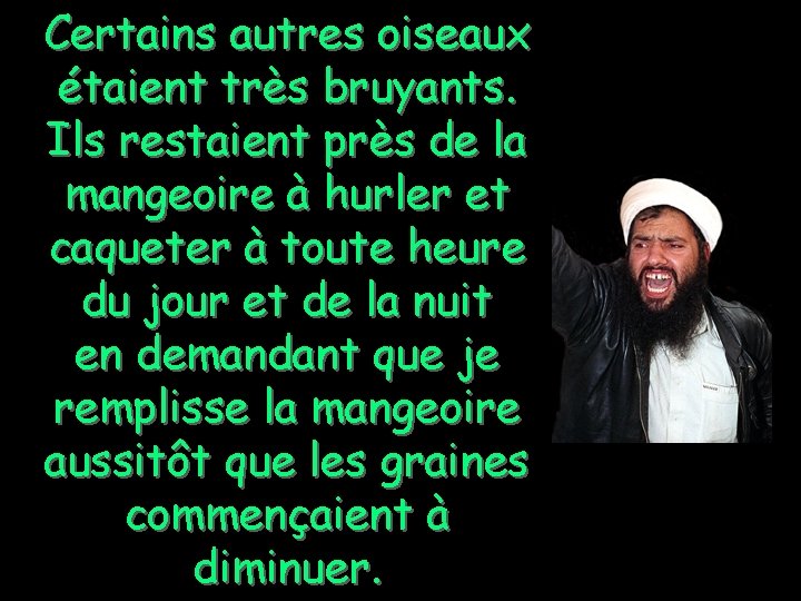 Certains autres oiseaux étaient très bruyants. Ils restaient près de la mangeoire à hurler