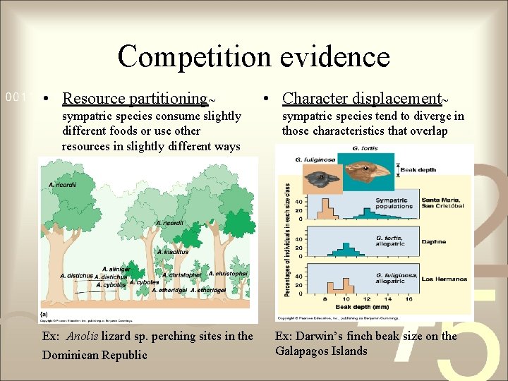 Competition evidence • Resource partitioning~ sympatric species consume slightly different foods or use other