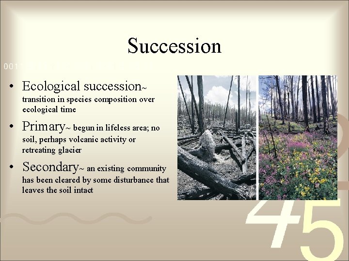 Succession • Ecological succession~ transition in species composition over ecological time • Primary~ begun