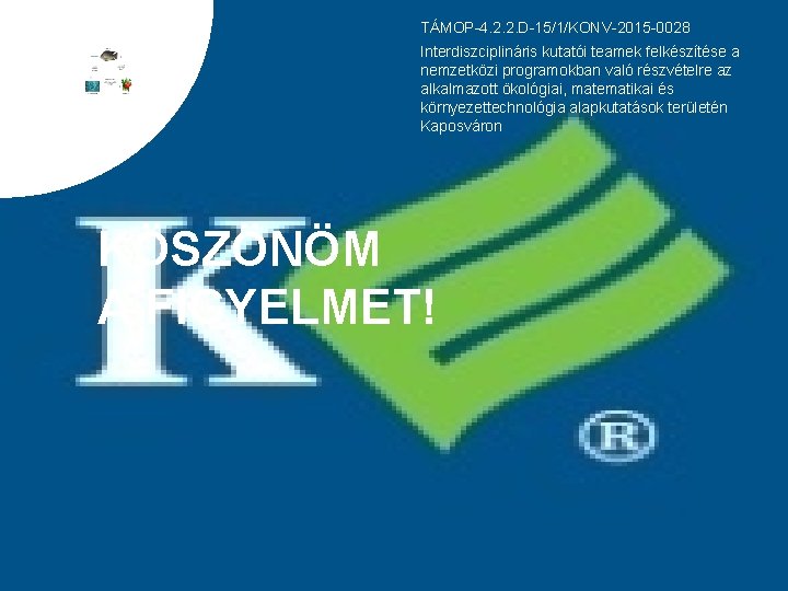 TÁMOP-4. 2. 2. D-15/1/KONV-2015 -0028 Interdiszciplináris kutatói teamek felkészítése a nemzetközi programokban való részvételre