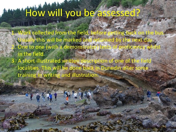 How will you be assessed? 1. Work collected from the field, before getting back