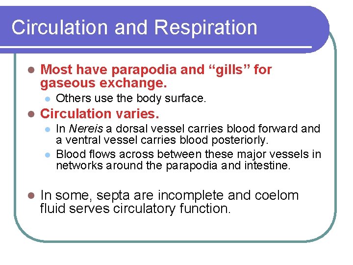 Circulation and Respiration l Most have parapodia and “gills” for gaseous exchange. l l