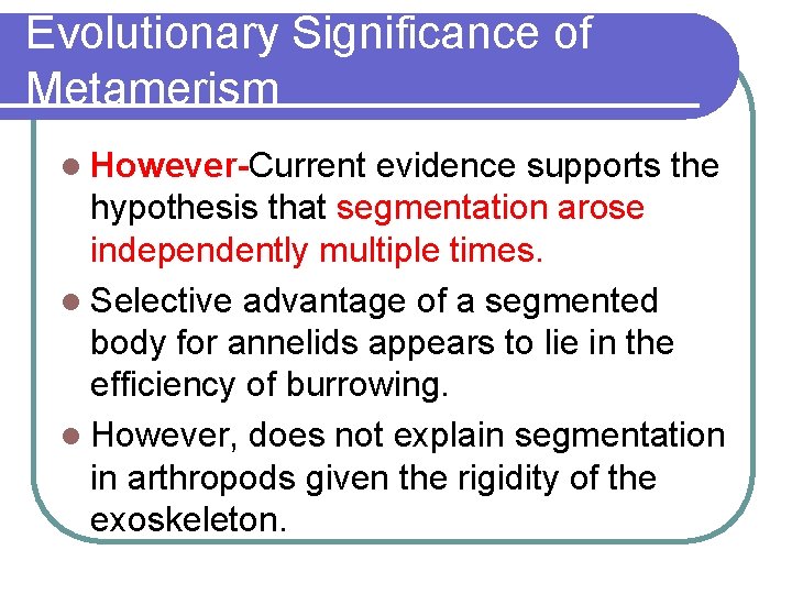 Evolutionary Significance of Metamerism l However-Current evidence supports the hypothesis that segmentation arose independently