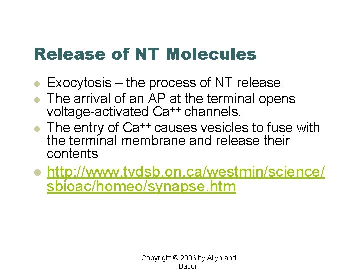 Release of NT Molecules l l Exocytosis – the process of NT release The