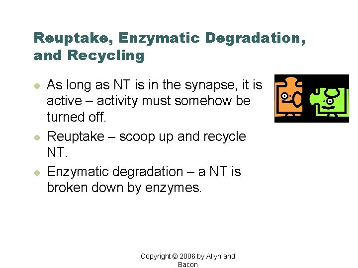 Reuptake, Enzymatic Degradation, and Recycling l l l As long as NT is in