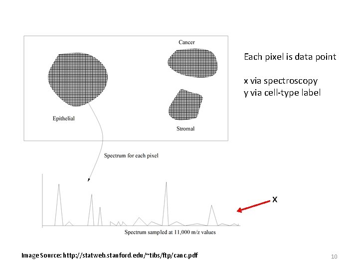 Each pixel is data point x via spectroscopy y via cell-type label x Image