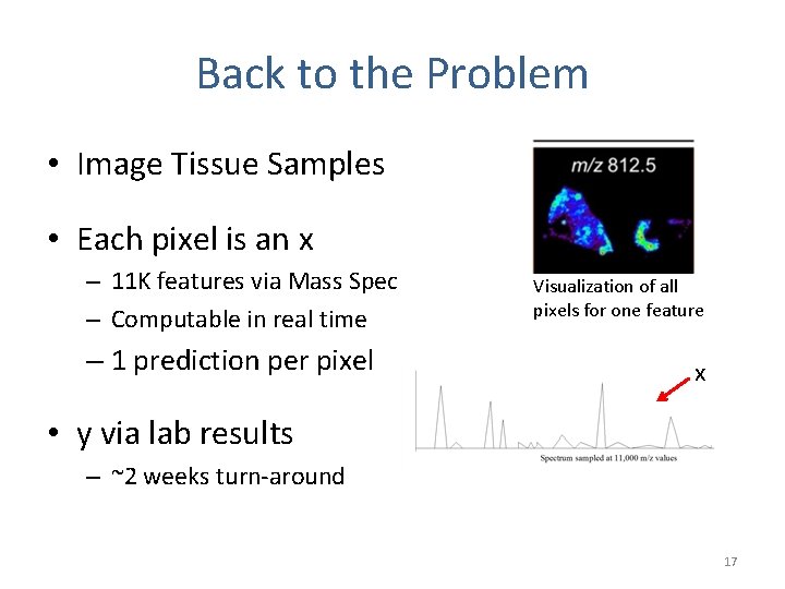 Back to the Problem • Image Tissue Samples • Each pixel is an x