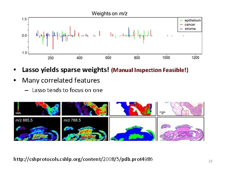  • Lasso yields sparse weights! (Manual Inspection Feasible!) • Many correlated features –