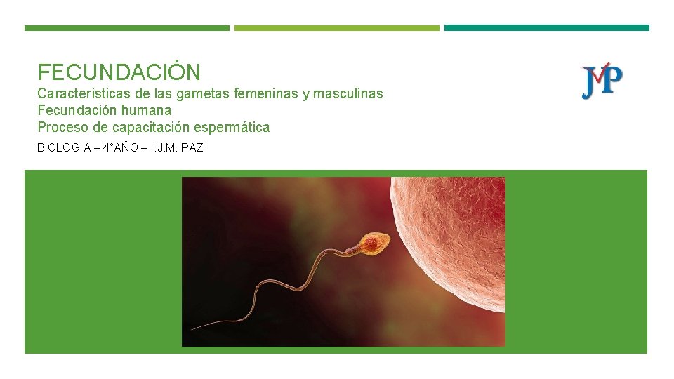 FECUNDACIÓN Características de las gametas femeninas y masculinas Fecundación humana Proceso de capacitación espermática
