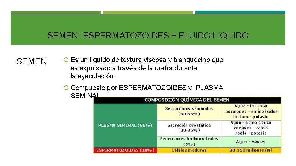 SEMEN: ESPERMATOZOIDES + FLUIDO LIQUIDO SEMEN Es un líquido de textura viscosa y blanquecino