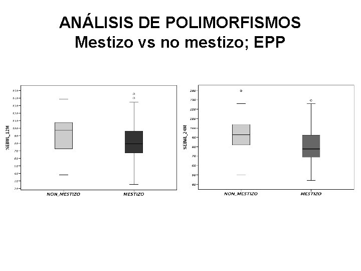 ANÁLISIS DE POLIMORFISMOS Mestizo vs no mestizo; EPP 