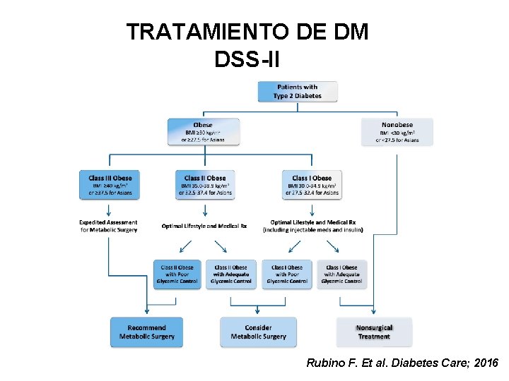 TRATAMIENTO DE DM DSS-II Rubino F. Et al. Diabetes Care; 2016 