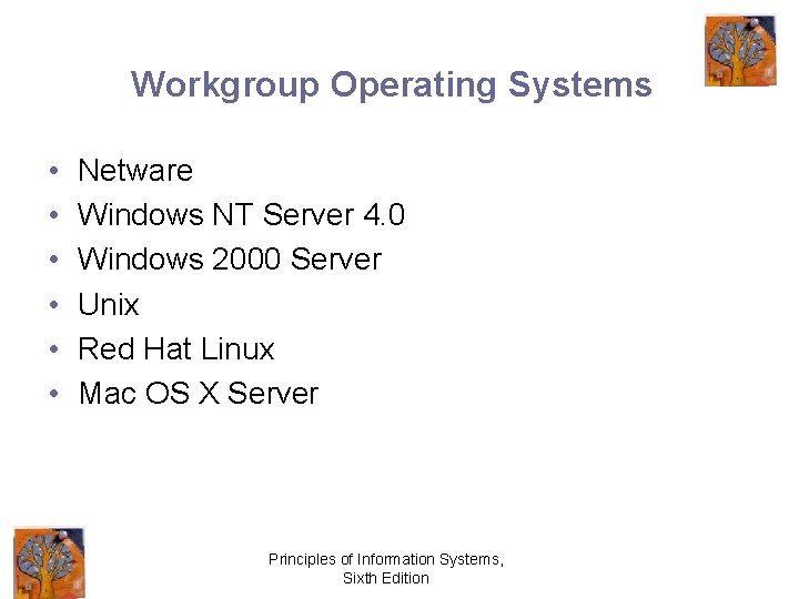 Workgroup Operating Systems • • • Netware Windows NT Server 4. 0 Windows 2000