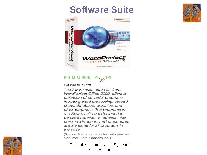 Software Suite Principles of Information Systems, Sixth Edition 