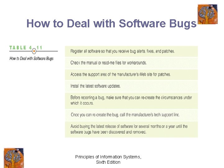 How to Deal with Software Bugs Principles of Information Systems, Sixth Edition 