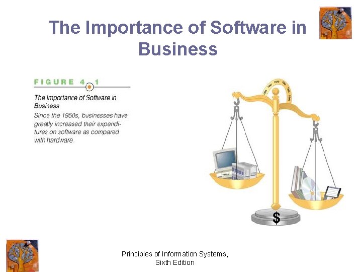 The Importance of Software in Business Principles of Information Systems, Sixth Edition 