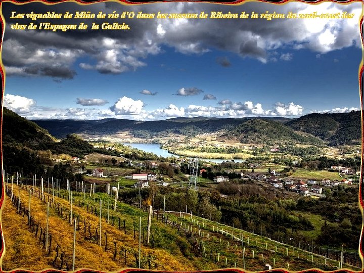 Les vignobles de Miño de río d'O dans les sacrum de Ribeira de la