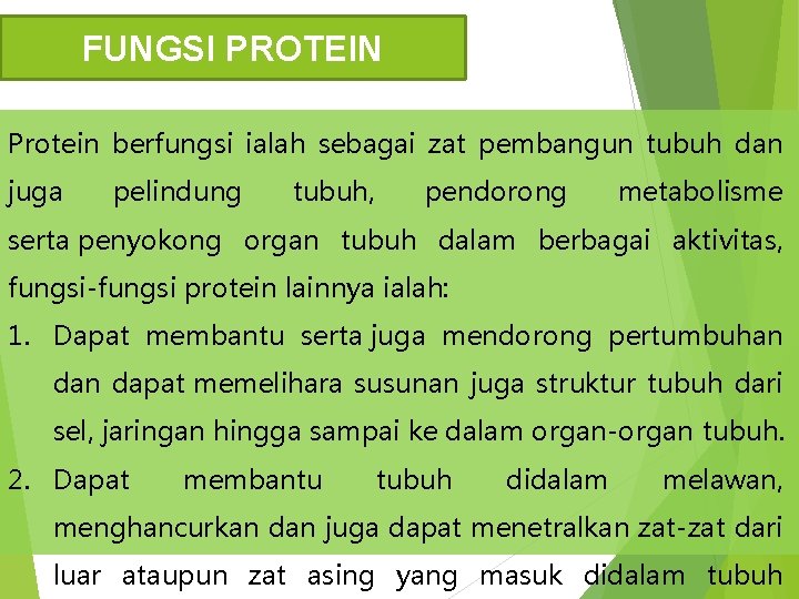 FUNGSI PROTEIN Protein berfungsi ialah sebagai zat pembangun tubuh dan juga pelindung tubuh, pendorong