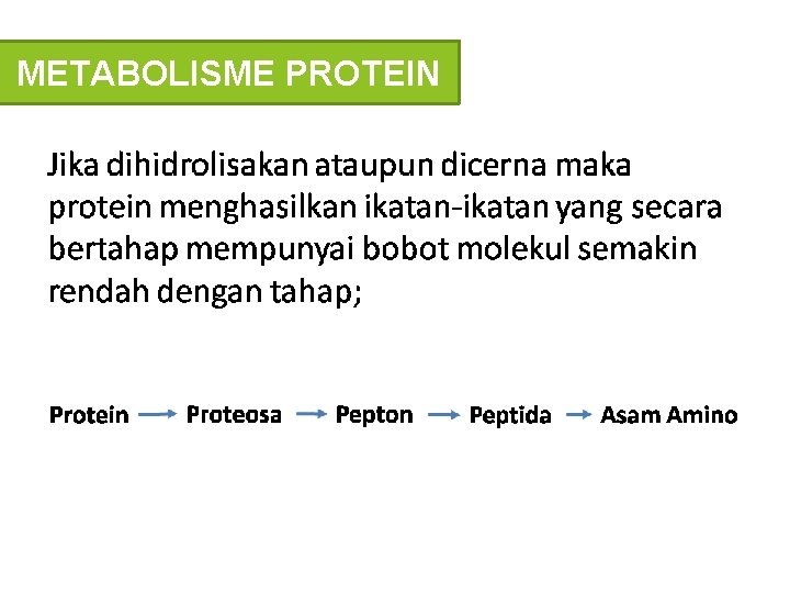 METABOLISME PROTEIN 