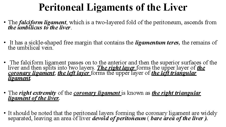 Peritoneal Ligaments of the Liver • The falciform ligament, which is a two-layered fold